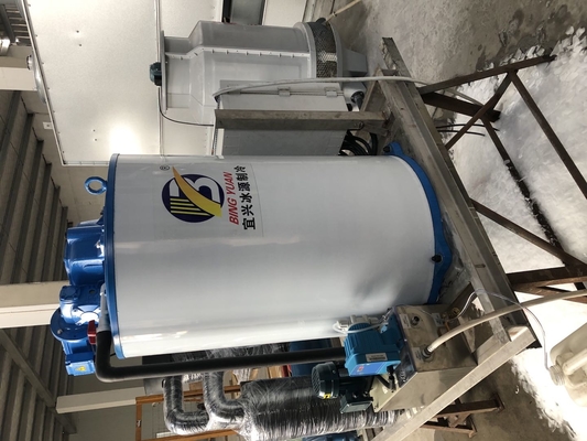 Macchina industriale di conservazione fresca 1 della macchina per ghiaccio del fiocco 2 3T 5 10 tonnellate 15 20 30 40 tonnellate