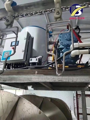 Macchina della macchina per ghiaccio del fiocco dell'acciaio 8ton di SUS304 Staineless per il pesce