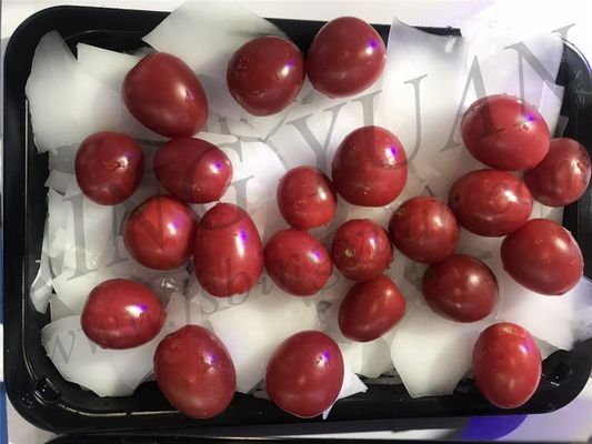 Macchina del ghiaccio industriale del fiocco di prezzo all'ingrosso, macchina per ghiaccio di piccola capacità 1T/Day