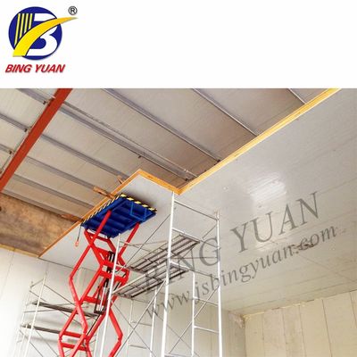 Stanza di conservazione frigorifera di 200KW 200mm R22 450V per la frutta e le verdure