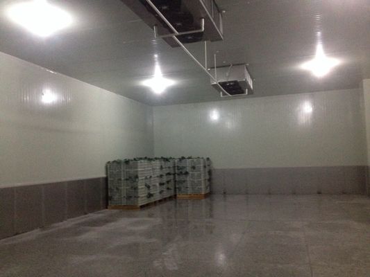unità di refrigerazione più fresche di 20m2 R404A, piccola conservazione frigorifera